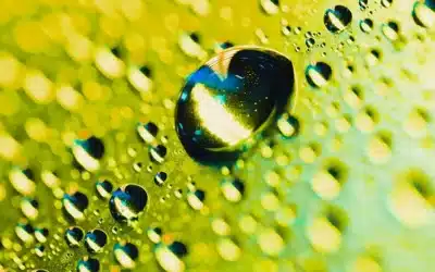 HVO: El Combustible Renovable que Impulsa la Sostenibilidad Empresarial