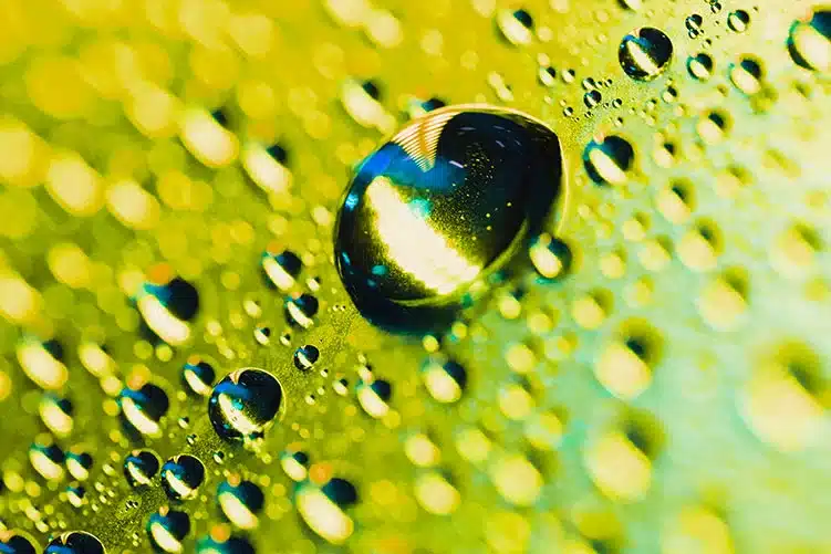 HVO: combustible renovable que impulsa la sostenibilidad Combustible renovable HVO con gotas de biodiésel